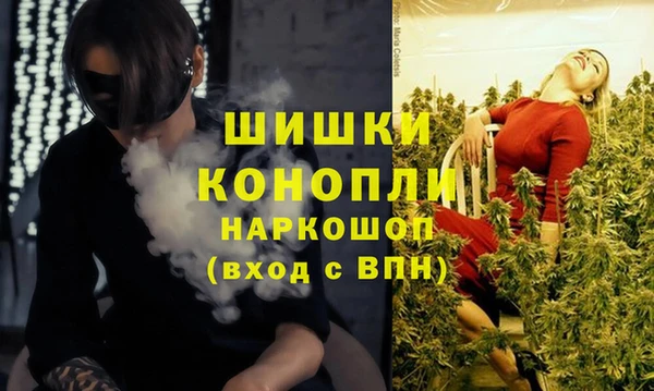 индика Алексеевка