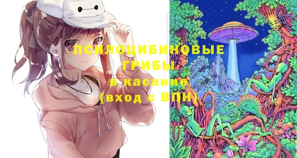 индика Алексеевка